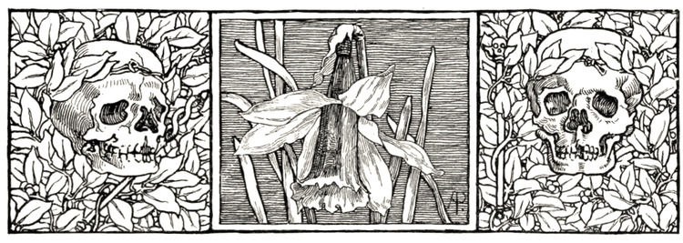 A wood engraving illustration marking the footer. Two skulls cushioned by leaves flank a daffodil flower.