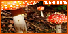 A 100x50 button with an image of fly agaric, for a mushroom fanlisting.
